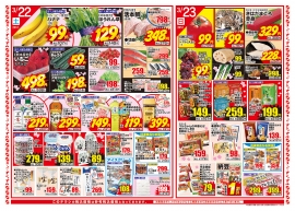 チラシ表