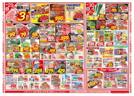 チラシ表