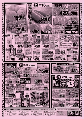 チラシ裏